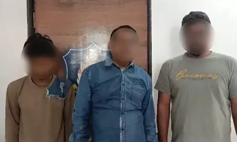 અંકલેશ્વર : પાનોલી પોલીસ મથકમાં વાહન ચોરીના ગુન્હામાં સંડોવાયેલ 3 ઇસમોની LCB પોલીસે કરી ધરપકડ