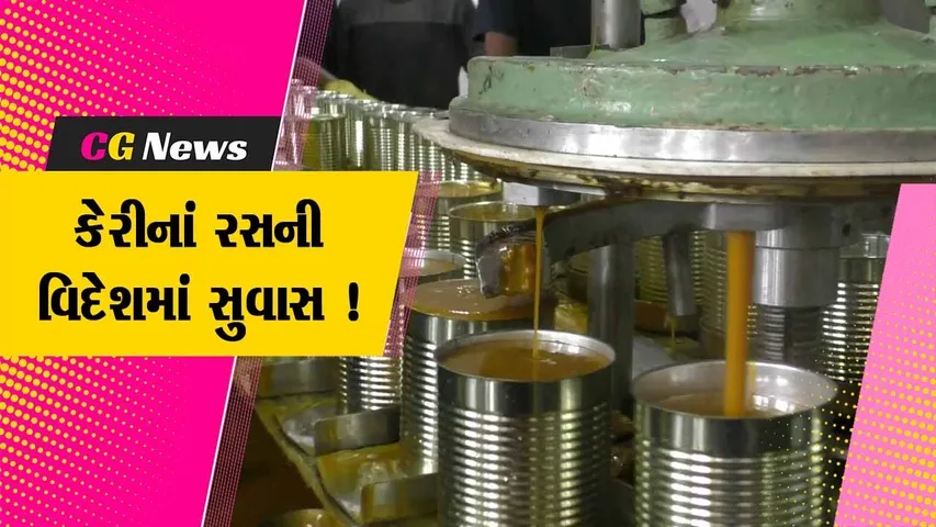 નવસારી: યુરોપીયન દેશોમાં કેરીનાં રસની માંગ વધી,ગણદેવીમાંથી વિદેશમાં કેરીના રસની થાય છે નિકાસ