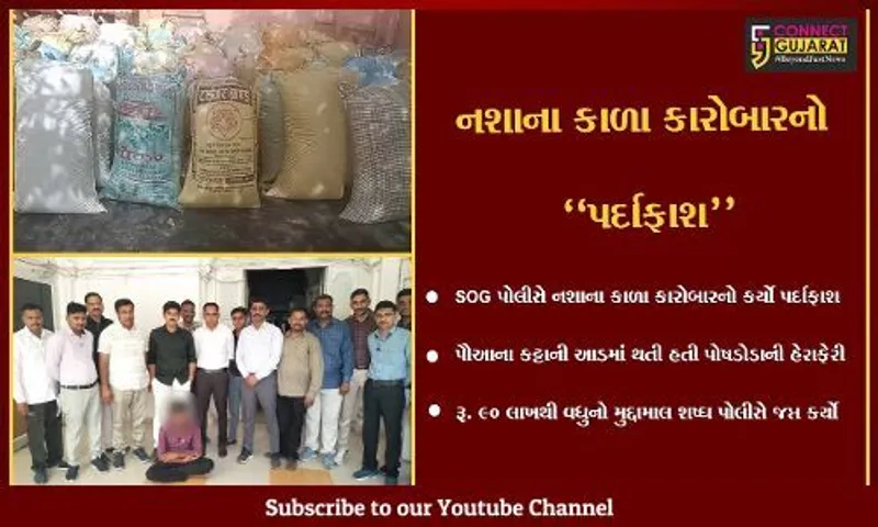 બનાસકાંઠા : પૌઆના કટ્ટાની આડમાં થતી પોષડોડાની હેરાફેરીનો SOG પોલીસે પર્દાફાશ કર્યો..