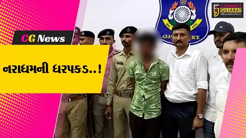 અમરેલી : દિવ્યાંગ યુવક સાથે સૃષ્ટિ વિરુદ્ધનું કૃત્ય આચરવા પથ્થર મારી હત્યા, હત્યારાની ધરપકડ...