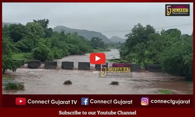 ભરૂચ : નેત્રંગના બલદવા, પીંગોટ-ધોલી ડેમની પાણીની સપાટીમાં સતત વધારો...