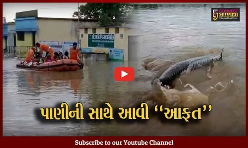 મહારાષ્ટ્ર : ચંદ્રાપુરના પટાલા ગામે પૂર આવતા ઘરોમાં માછલાં અને સરિસૃપો તણાઇ આવ્યા, જુઓ દ્રશ્યો