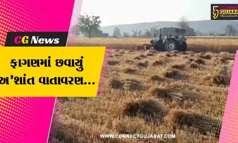 સાબરકાંઠા : હવામાનમાં આવેલા પલટાને કારણે ખેડૂતોના પાકને નુકસાન, સરકાર પાસે કરી સહાયની માંગ..!