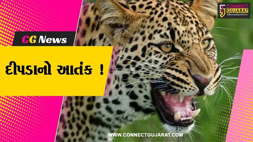 ગીરસોમનાથ: સુત્રાપાડા તાલુકામાં દીપડાએ 3 લોકો પર કર્યો હુમલો,બાળકનું મોત-મહિલાને સારવાર અર્થે ખસેડાય