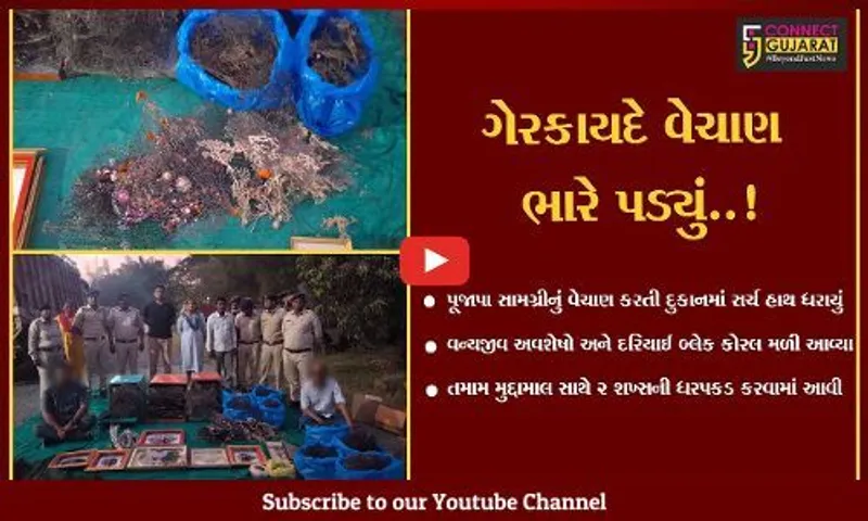નવસારી : પૂજાપા સામગ્રીની આડમાં વન્યજીવ અવશેષો-દરિયાઈ બ્લેક કોરલનું વેચાણ કરતાં 2 શખ્સો ઝડપાયા...