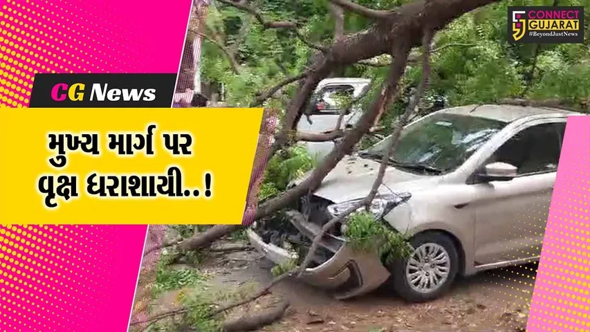 ભરૂચ : કોર્ટ સંકુલ સામે મુખ્ય માર્ગ પર વૃક્ષ ધરાશાયી થતાં ભારદાર ડાળીઓથી કારને નુકશાન, ફાયર ફાઇટરો દોડ્યા