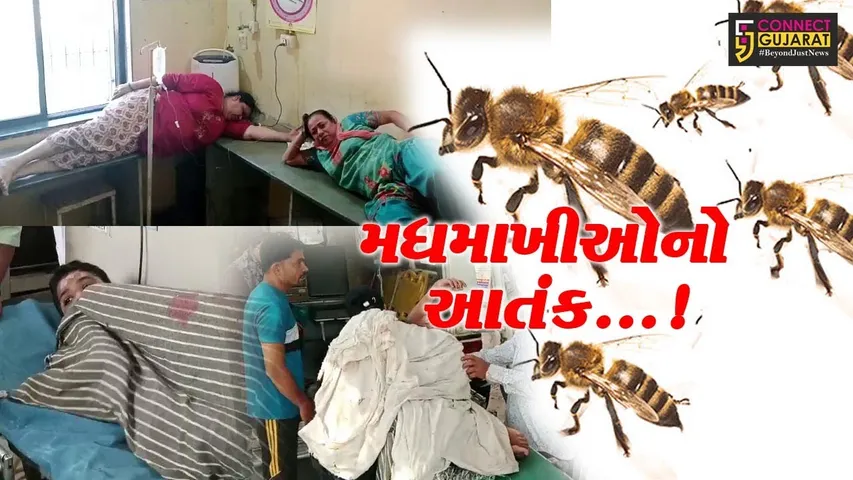 ભરૂચ : આમોદના કોલવણા ગામે મધમાખી ઉડતા 7 લોકો થયા ડંખથી ઇજાગ્રસ્ત, સાવરવાર હેઠળ ખસેડાયા...