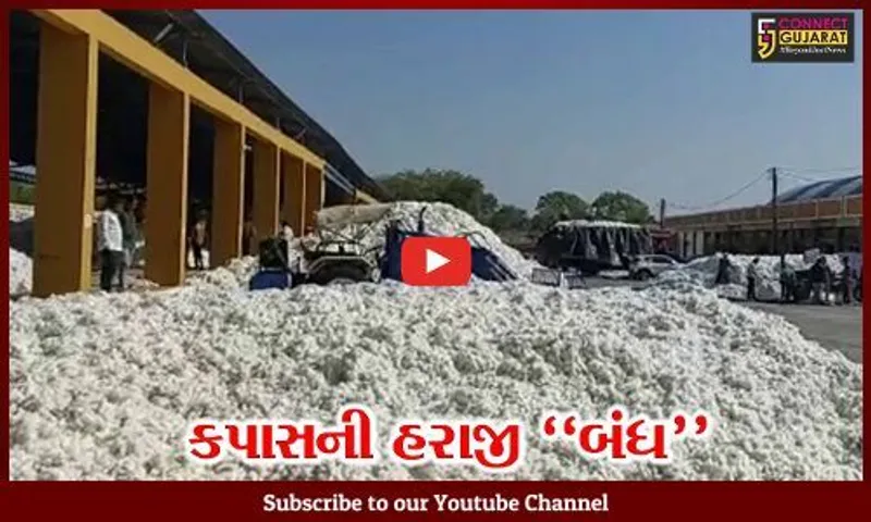અમરેલી : બાબરા APMCમાં કપાસના પોષણક્ષમ ભાવ ન મળતા ખેડૂતોમાં રોષ, કિસાન સંઘે જાહેર હરાજી બંધ કરાવી
