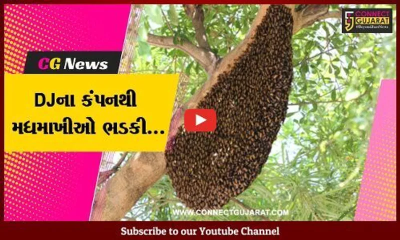 દાહોદ : લગ્નના વરઘોડામાં DJના કંપનથી છંછેડાયેલી મધમાખીઓએ 22થી વધુ લોકોને ડંખ માર્યા...