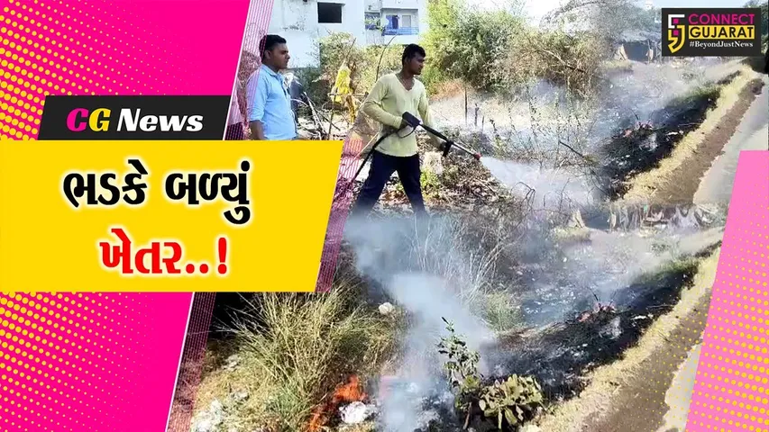 ભરૂચ : મનુબર ચોકડી નજીક ખેતરમાં આગ ફાટી નીકળી, ફાયર ફાઇટરો દોડ્યા...