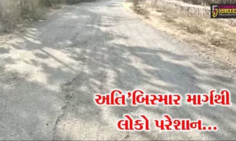 ભરૂચ : ઝઘડીયાના રતનપુર બાવાગોર દરગાહ સુધીના અત્યંત બિસ્માર માર્ગથી લોકોને ભારે હાલાકી...