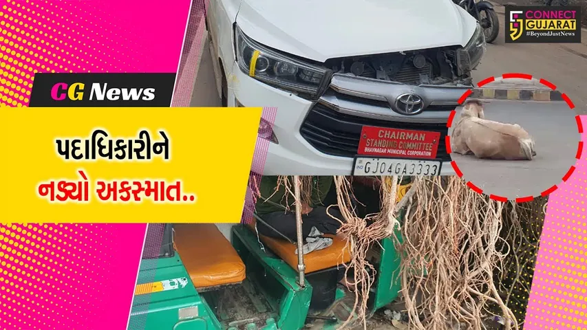 ભાવનગર : મહાનગરપાલિકાના સ્ટેન્ડિંગ કમિટીના ચેરમેનની કાર રિક્ષા સાથે અથડાઇ, રિક્ષા ચાલકને પહોચી ગંભીર ઇજાઓ....