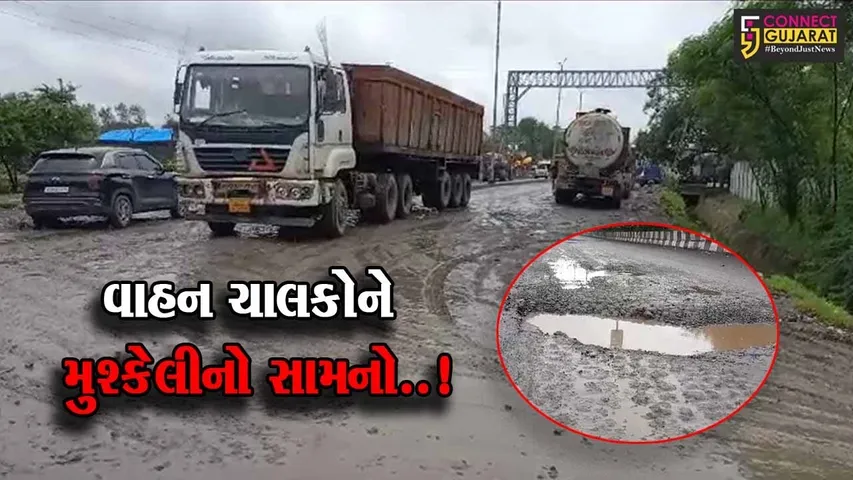 ભરૂચ : ઝઘડીયા GIDC વિસ્તારના મુખ્ય માર્ગ અત્યંત બિસ્માર બનતા વાહન ચાલકોની હાલત કફોડી...
