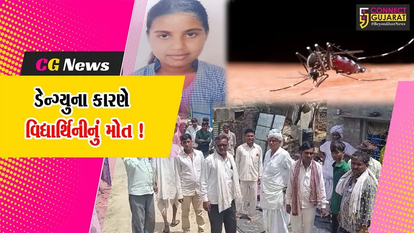 પાટણ: રાધનપુર તાલુકાના પેદાશપુરા ગામ ખાતે ડેન્ગ્યુના કારણે વિદ્યાર્થિનીનું મોત !