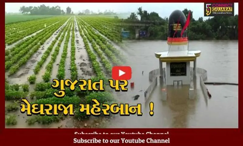 ગુજરાતમાં મેઘમલ્હાર: અનેક જિલ્લાઓમાં ધોધમાર વરસાદ વરસતા નદી નાળા છલકાયા