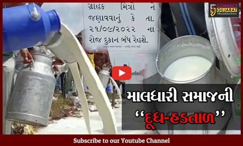 ભરૂચ : માલધારી-આહીર સમાજની "દૂધ-હડતાળ", લોકોને દૂધ મળતું રહેશે તેવી દૂધધારા ડેરીની ખાતરી...