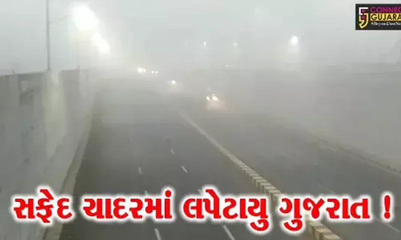 ગાઢ ધુમ્મસની ચાદરમાં લપેટાયુ ગુજરાત, વિઝિબિલિટી ઘટતા વાહનચાલકોને મુશ્કેલી