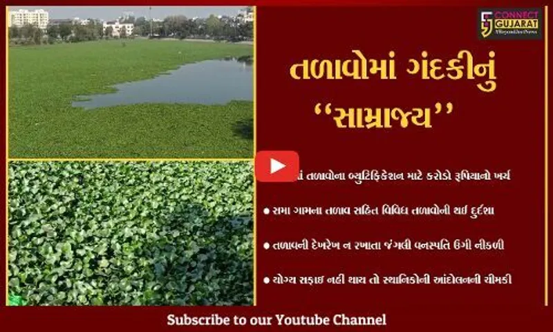 વડોદરા : મોટા ઉપાડે તળાવોની સફાઈ માટે મનપાએ કર્યો લાખો રૂપિયાનો ખર્ચ, છતાં ગંદકીનું સામ્રાજ્ય...