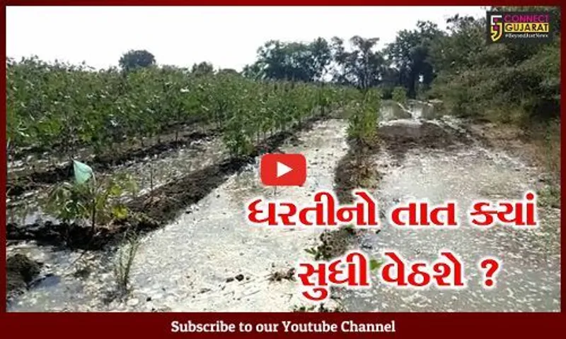 સુરેન્દ્રનગર: લખતરમાં કેનાલનું પાણી લીક થતા ખેતરોમાં ફરી વળ્યુ, ઉભા પાકને નુકશાન થતા ધરતીપુત્રોમાં રોષ