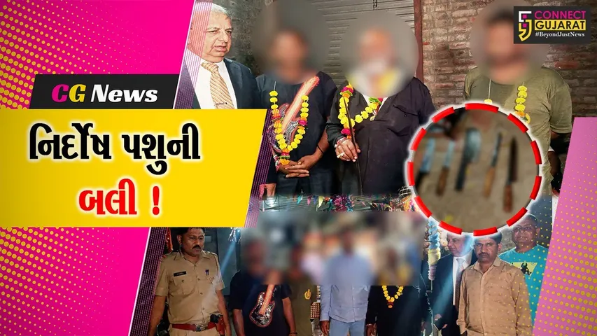 અમરેલી: કાળી ચૌદશના દિવસે નિર્દોષ પશુની બલી ચઢાવવામાં આવી, વિજ્ઞાન જાથાની ટીમે કર્યો પર્દાફાશ
