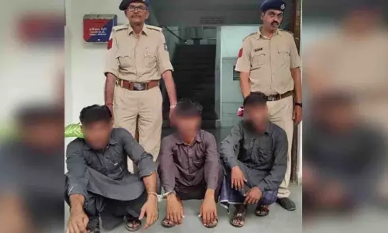 ભરૂચ: વાગરા પોલીસે ગંધારની અમી સોલ્ટ કંપનીમાં થયેલ કેબલ ચોરીના ગુનામાં 3 આરોપીઓને ઝડપી પાડ્યા