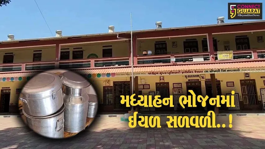 નવસારી : વાંઝણા પ્રાથમિક શાળામાં બાળકોના મધ્યાહન ભોજનમાં ઈયળ નીકળી, શિક્ષણ વિભાગ હરકતમાં આવ્યું...