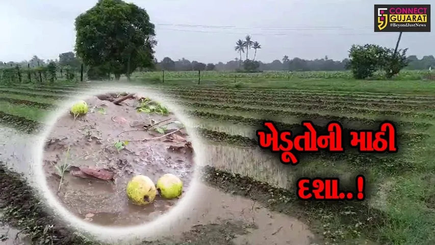 ભરૂચ-અંકલેશ્વરમાં પૂર બાદ હવે માવઠું બન્યું “આફત”, પાકને નુકશાન થવાની ખેડૂતોમાં ભીતિ...!