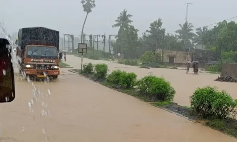 ભરૂચ : ઝઘડીયાના સીમધરા નજીક SOUને જોડતા મુખ્ય માર્ગ પર ભરાયા વરસાદી પાણી, વાહનચાલકોને હાલાકી...