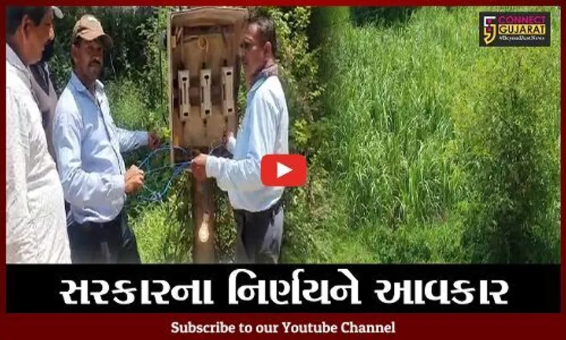 સુરત : ઓલપાડ ખેડુતોને હવે 8ના બદલે 10 કલાક સુધી અપાશે વીજળી, જુઓ શું કહે છે ખેડુતો