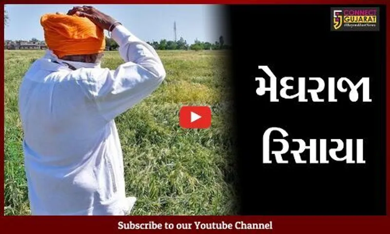 ભરૂચ : જિલ્લામાં ગત વર્ષની સરખામણીએ અંદાજે 60 ટકા ઓછો વરસાદ, દુકાળના એંધાણ