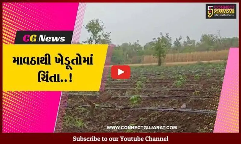 ગુજરાતભરમાં કરા સાથે વરસ્યો વરસાદ, પાક નુકશાનની ખેડૂતોમાં ભીતિ..!