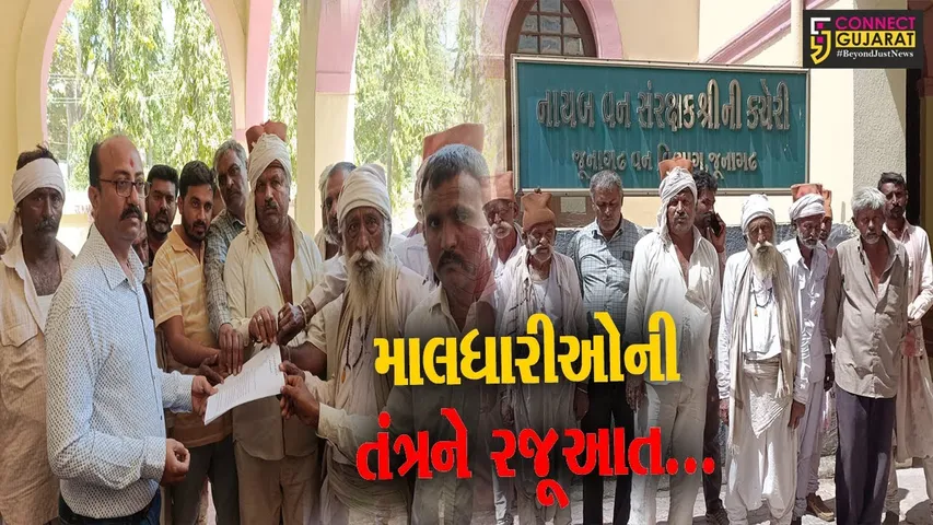 ગીર પંથક : વન વિભાગની કનડગતથી ત્રસ્ત માલધારીઓ, જુનાગઢ વન વિભાગની કચેરીએ આપ્યું આવેદન