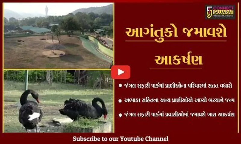 નર્મદા : કેવડીયાના જંગલ સફારી પાર્કમાં નવા મહેમાનોનું "આગમન, પ્રાણીઓના પરિવારમાં થયો વધારો.