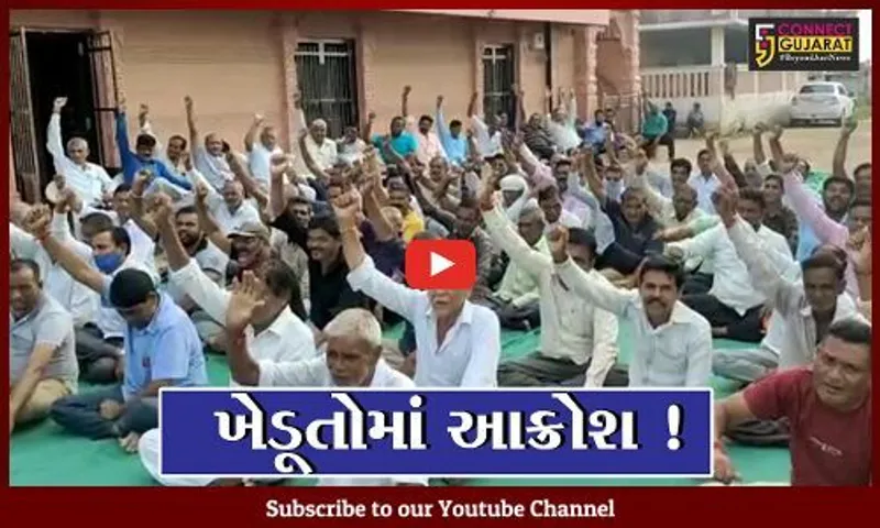 ભરૂચ: આમોદના દાંદા ગામે ખેડૂત સંમેલન યોજાયું, કેમિક્લના કારણે કપાસના પાકને નુકશાનના મામલે કરાયો વિરોધ