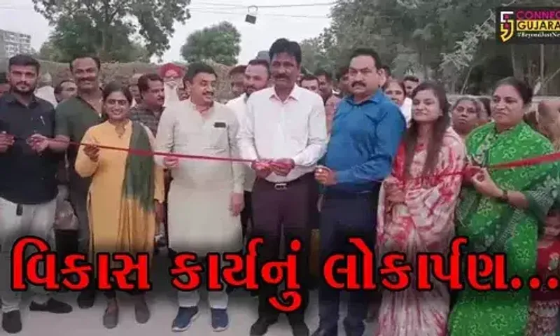 ભરૂચ : ગ્રીનપાર્કથી જ્યોતિનગર સુધી રૂ. 50 લાખના ખર્ચે સીસી માર્ગનું નિર્માણ, ધારાસભ્યના હસ્તે કરાયું લોકાર્પણ...