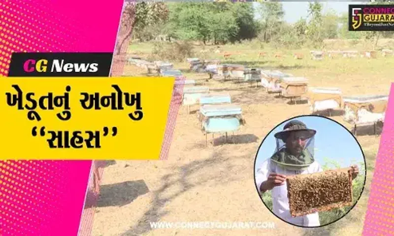 ખેડા : પ્રકૃતિ રક્ષણ સાથે આવક-વૃદ્ધિનો કિમિયો એટલે “મધમાખી પાલન”, જુઓ જાળિયાના યુવા ખેડૂતનું અનોખુ સાહસ...