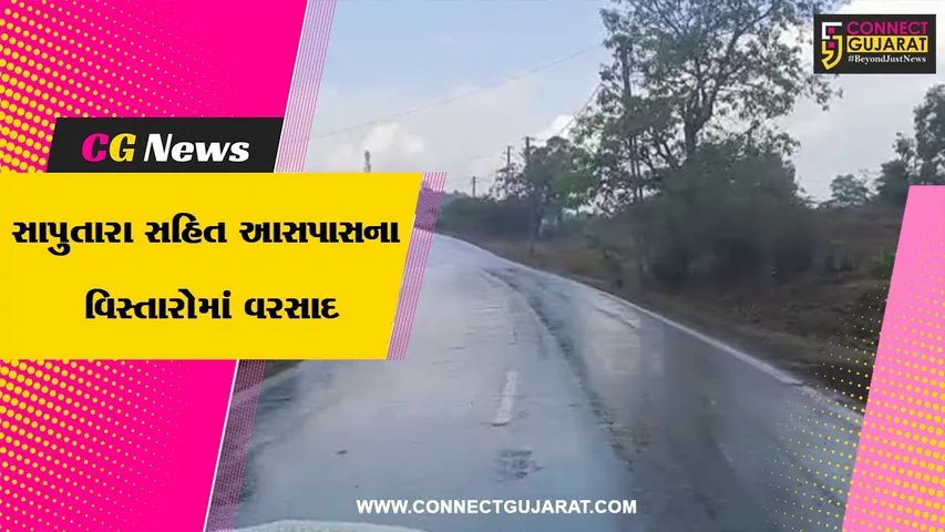 ડાંગ: સાપુતારાના વાતાવરણમાં પલટો, શીત લહેરથી સહેલાણીઓ ગેલમાં