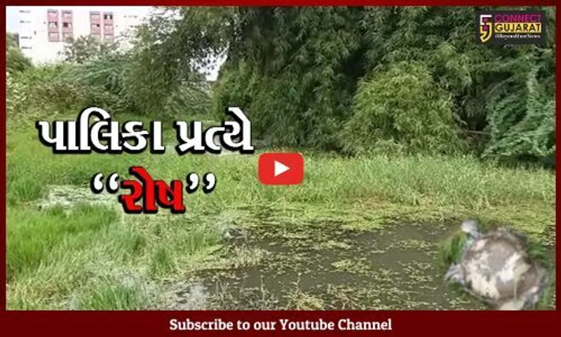 ભરૂચ : રતન તળાવમાં વધુ એક કાચબાનું મોત, પાલિકા પ્રત્યે સ્થાનિકોમાં રોષ
