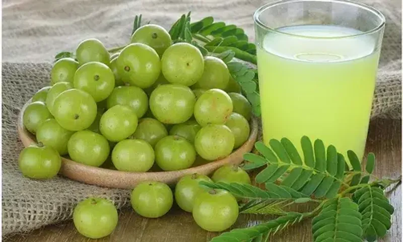 આમળા ડાયાબિટીસને કંટ્રોલ કરવામાં ખૂબ મદદરૂપ છે, આ રીતે તેને તમારા આહારમાં સામેલ કરો.