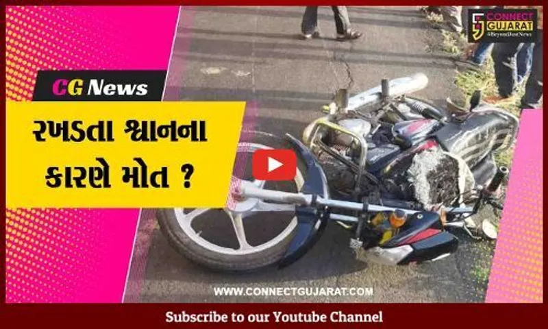 ભરૂચ: જંબુસરના સિંગરણા ટંકારી ગામે વચ્ચે બાઇક ચાલકનું માર્ગ અકસ્માતમાં મોત, રસ્તા વચ્ચે શ્વાન આવી જતાં સર્જાયો અકસ્માત