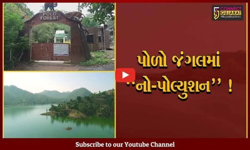 સાબરકાંઠા: પોળો જંગલોમાં હવેથી પેટ્રોલ-ડીઝલની કાર નહીં ચાલે, ડેમ સાઈટ સહિતના વિસ્તારમાં જવા ઈ-રીક્ષા બનશે સહારો