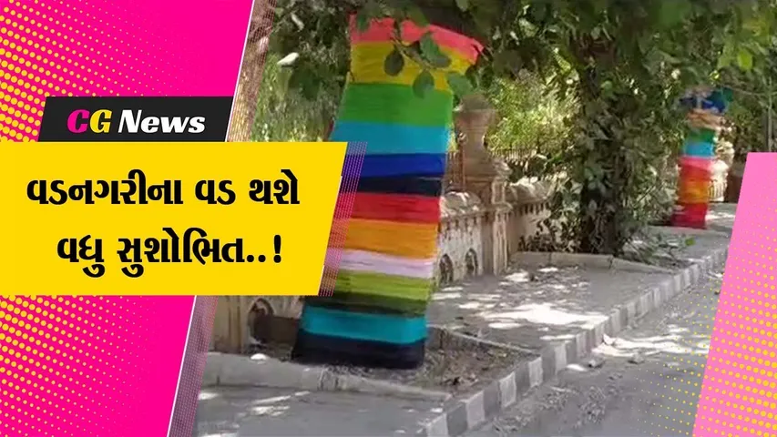 વડનગરી વડોદરામાં અમદાવાદના કલાકારોએ વડને ઇકો ફ્રેન્ડલી કલરથી સુશોભિત કર્યા, પર્યાવરણવાદીઓમાં ઉદાસીનતા..!