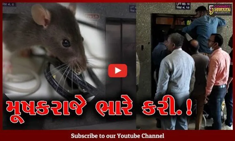 સાબરકાંઠા: હિમતનગર સિવિલ હોસ્પિટલમાં મૂષકરાજે લિફ્ટના વાયર કાતરી ખાધા, પછી શું થયું જુઓ આ વિડીયો