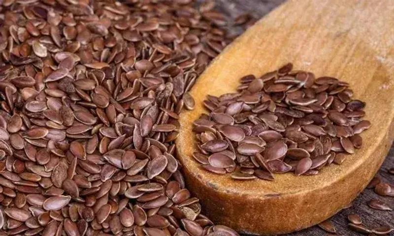 ડાયાબિટીસ સહિતની સમસ્યાઓમાં અળસીનું સેવન અસરકારક છે, જાણો તેના 5 ફાયદા