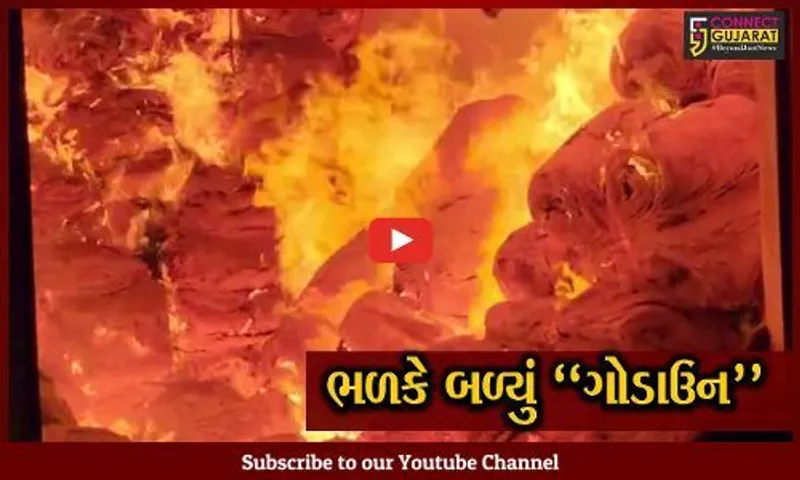 ખેડા : વસોના પલાણામાં બારદાનના ગોડાઉનમાં ફાટી નીકળી ભીષણ આગ, ફાયર ફાઇટરો દોડ્યા...