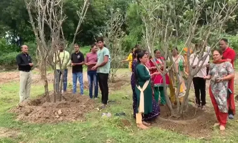ભરૂચ : વૃક્ષ જતનના સંકલ્પ સાથે સત્ ચેતના પર્યાવરણ સંગઠન-ગાયત્રી પરિવાર દ્વારા વૃક્ષારોપણ કરાયું...