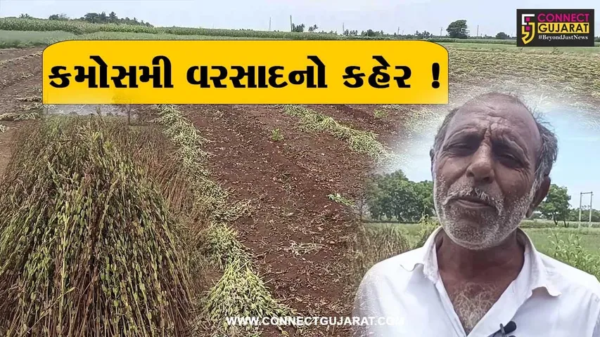 ગીરસોમનાથ: કમોસમી વરસાદે કહેર વરસાવ્યો, ખેડૂતોના ઊભા પાકને વ્યાપક નુકશાન