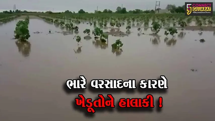 સાબરકાંઠા: ભારે વરસાદના કારણે ખેતીના પાકને વ્યાપક નુકશાન, ઉભા પાક પર પાણી ફરી વળ્યુ