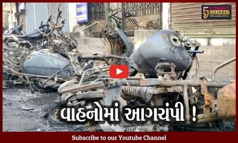 વડોદરા: 6થી વધુ વાહનોમાં આગ ફાટી નિકળતા દોડધામ,ફાયર વિભાગે આગ પર મેળવ્યો કાબૂ