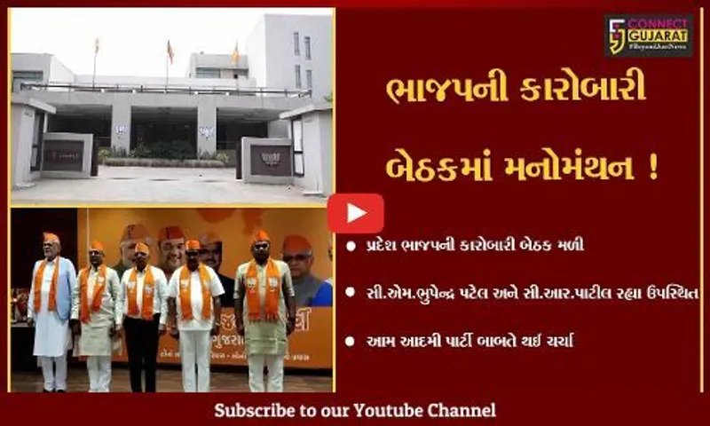 ગાંધીનગર : ભાજપની કારોબારી બેઠક યોજાય, આપ અને આદિવાસીઓના બાબતે થઈ ચર્ચા